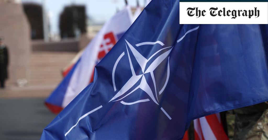 Baltık Ülkeleri Avrupa’nın Yeni Cephesinde: NATO ve İngiltere Harekete Geçmeli