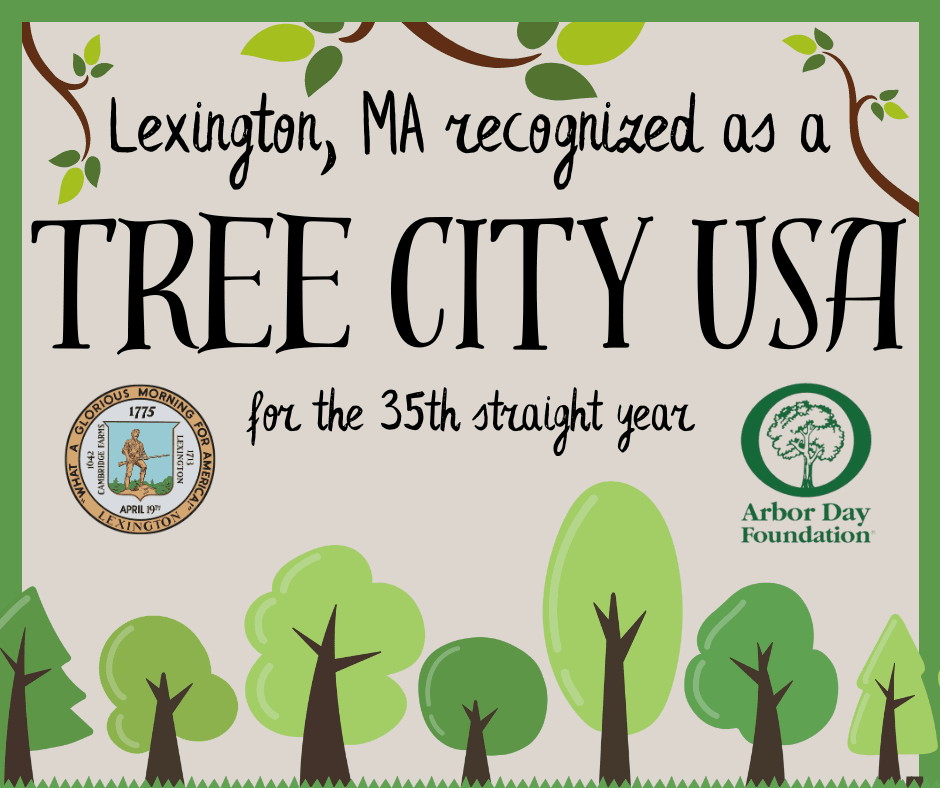 lexington recognized as tree city usa 2023