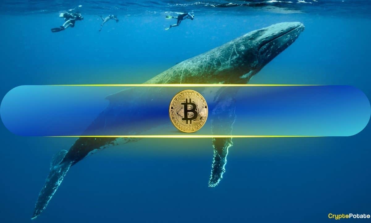 Are Bitcoin Whales Taking Profits?