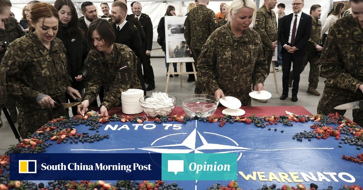 Opinion | Why Nato’s adaptability is a strength and a liability in trying times