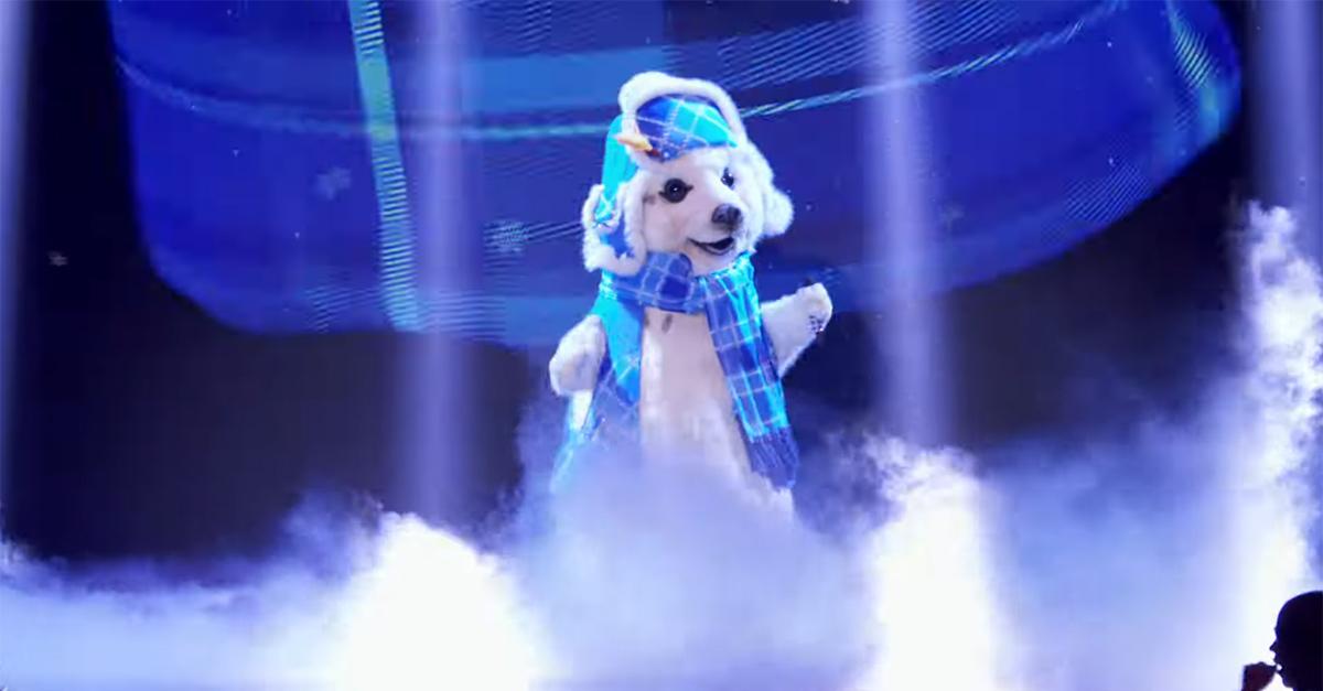 Who Is The Seal on The Masked Singer?