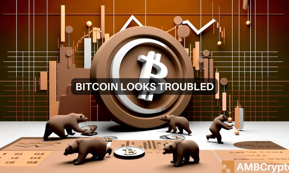 Neden Bitcoin hala ayıları yenebilir ve bu döngüde 91.000 doları görebilir