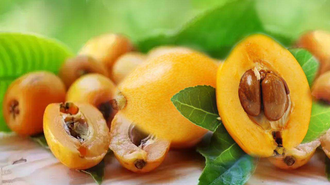 Yenidünya Meyvesi ve Yapraklarının Sağlık Faydaları: İşte Detaylar!